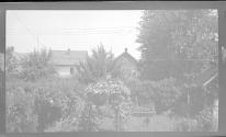 [Back yard garden]
