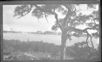 [Landscape]