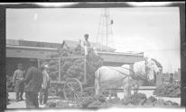 [Men with mule drawn wagon]