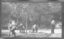 [Men working in yard]