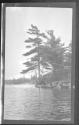 [Trees along river]