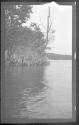 [View of riverbank]