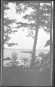 [View of river through trees]