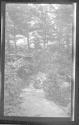 [Wooded landscape]