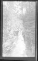 [View of glen]