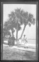 [Women & girl by palm trees]