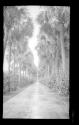 Palm Bch
