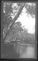 [River view]