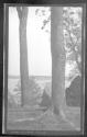 Mt Vernon