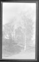 [Landscape]