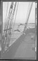 [Boys diving off rail of sailing ship]