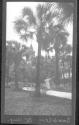Ponce de Leon St. Aug.
