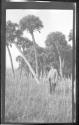 [Charles Zoller by palm trees in field]