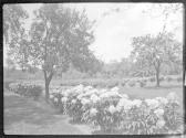 [Garden view]