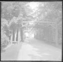[Park view]