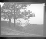 [Wooded landscape, bay in distance]