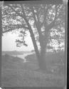 [Wooded landscape, bay in distance]
