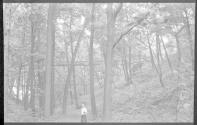 [Man below wooden bridge in woods]