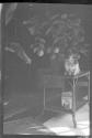 [Dog on table with potted orange (?) tree]