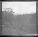 Landscape scene