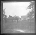 Man with horse in corral