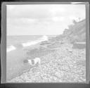 Dog standing on shore of Lake Ontario