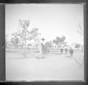 Man on horse with oxen