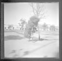 Man walking in park