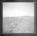 Farm field and arched wall