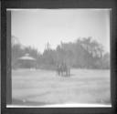 Street scene-out of focus