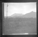 View from train-telegraph pole