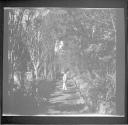 Man on pathway in park