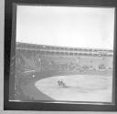 Horse in stadium ring