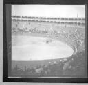 Bullfights