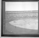 Bullfights