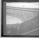 Bullfights