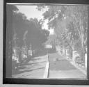 Walkway in park