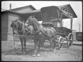 Horse drawn cart: American Express