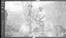 Pat Ayre and guide standing by dead horned animal, African Safari