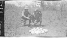 Daniel Pomeroy and Osa Johnson looking at nest of eggs, African Safari
