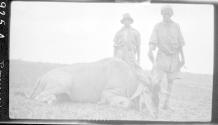 Hunters and natives posed with dead animal, African Safari