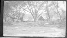 Camp, African Safari