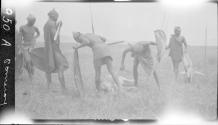 Natives looking at slain lion, African Safari