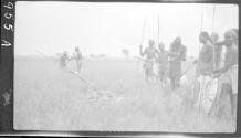 Natives standing around dead, speared  animal, African Safari