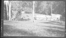 Young and Ayre sawmill near Meru, African Safari