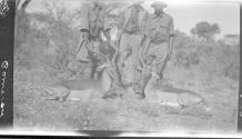 Martin Johnson and native guides posing with slain animal, African Safari