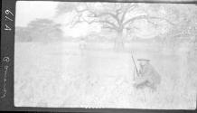 Dan Pomeroy's second lion - shot near Simpson's Camp, African Safari