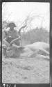 African man posing with dead horned animal, African Safari