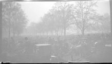 Horse drawn coaches on busy street