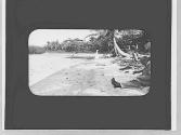 Beach scene, Jamaica Trip